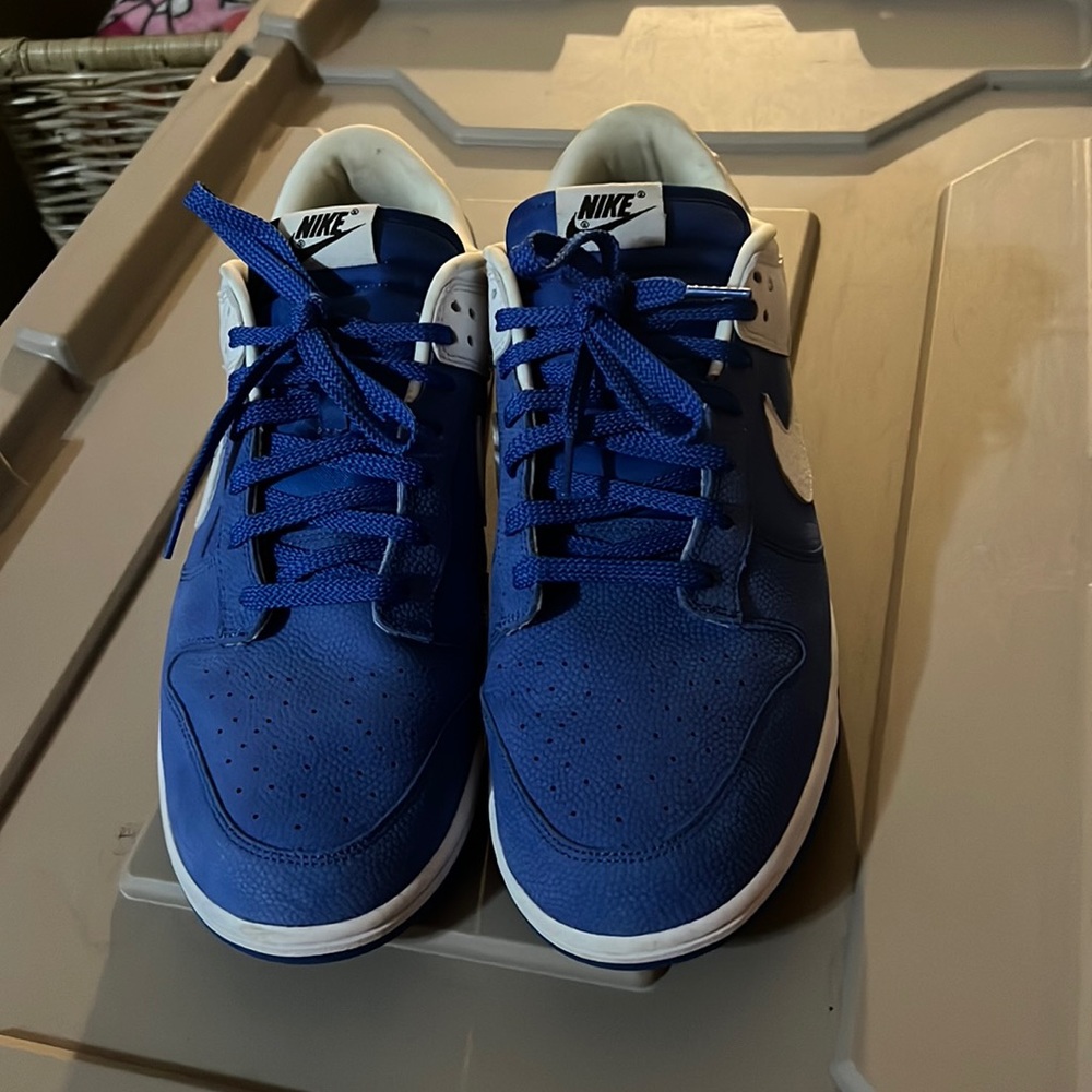 Size 14 nike Dunks